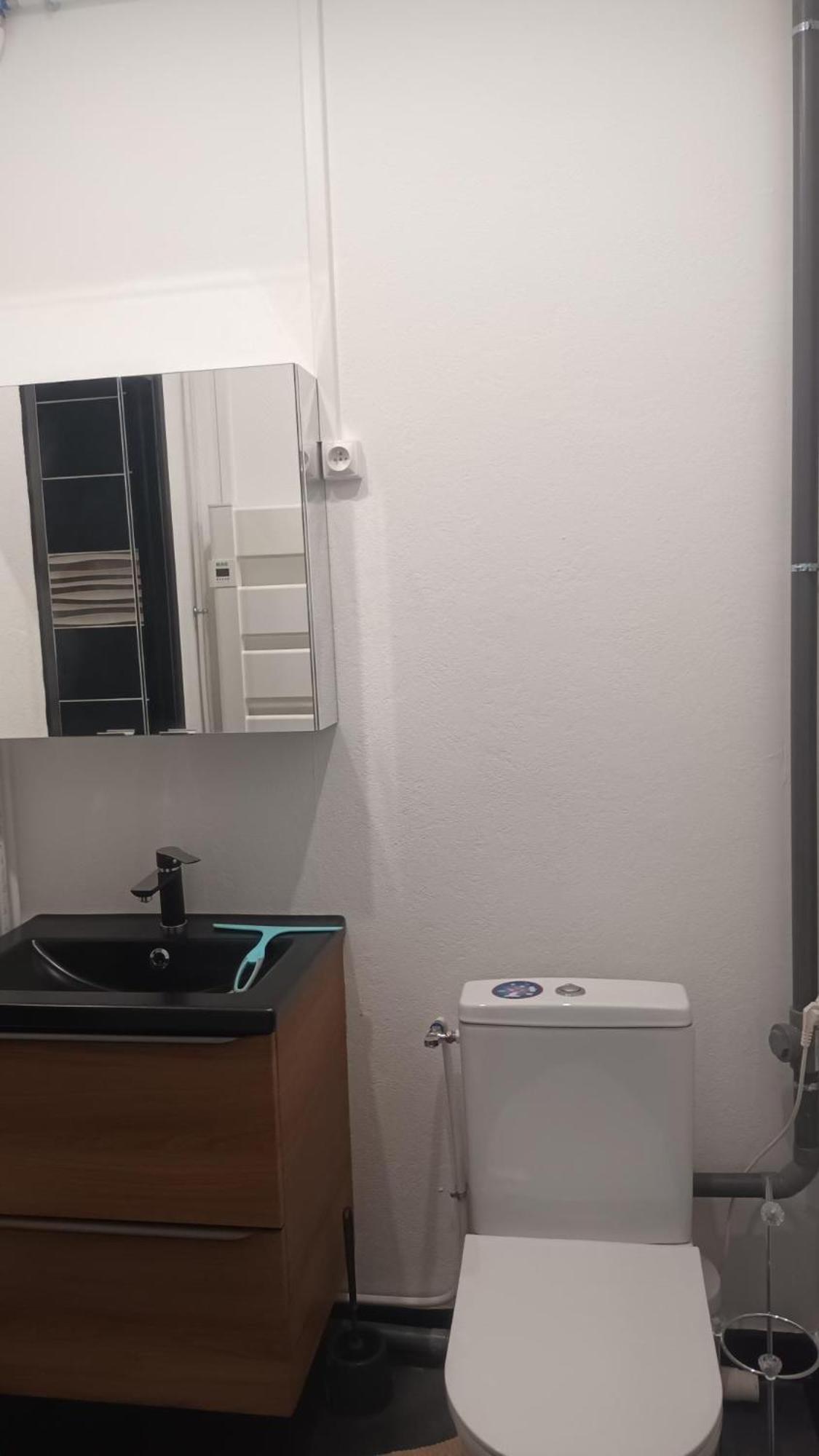 Appartement T1 Proche De Vulcania Pontaumur Екстериор снимка